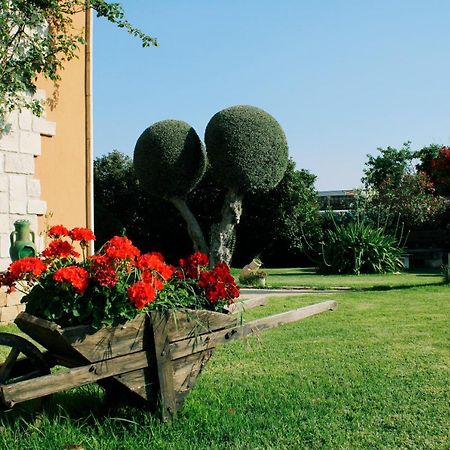 فيلا Il Giardino Della Musica موديكا المظهر الخارجي الصورة